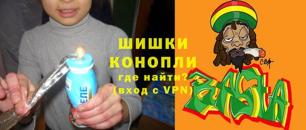 прущие грибы Балахна