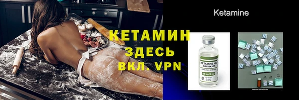 прущие грибы Балахна