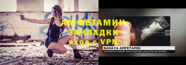 прущие грибы Балахна