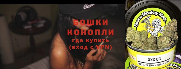 прущие грибы Балахна