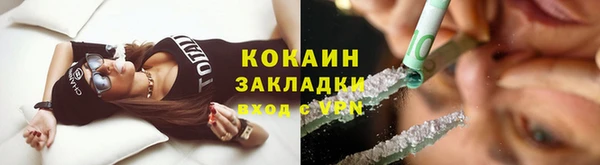 прущие грибы Балахна